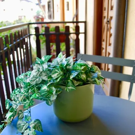 Ca Mia بيت للعطل *